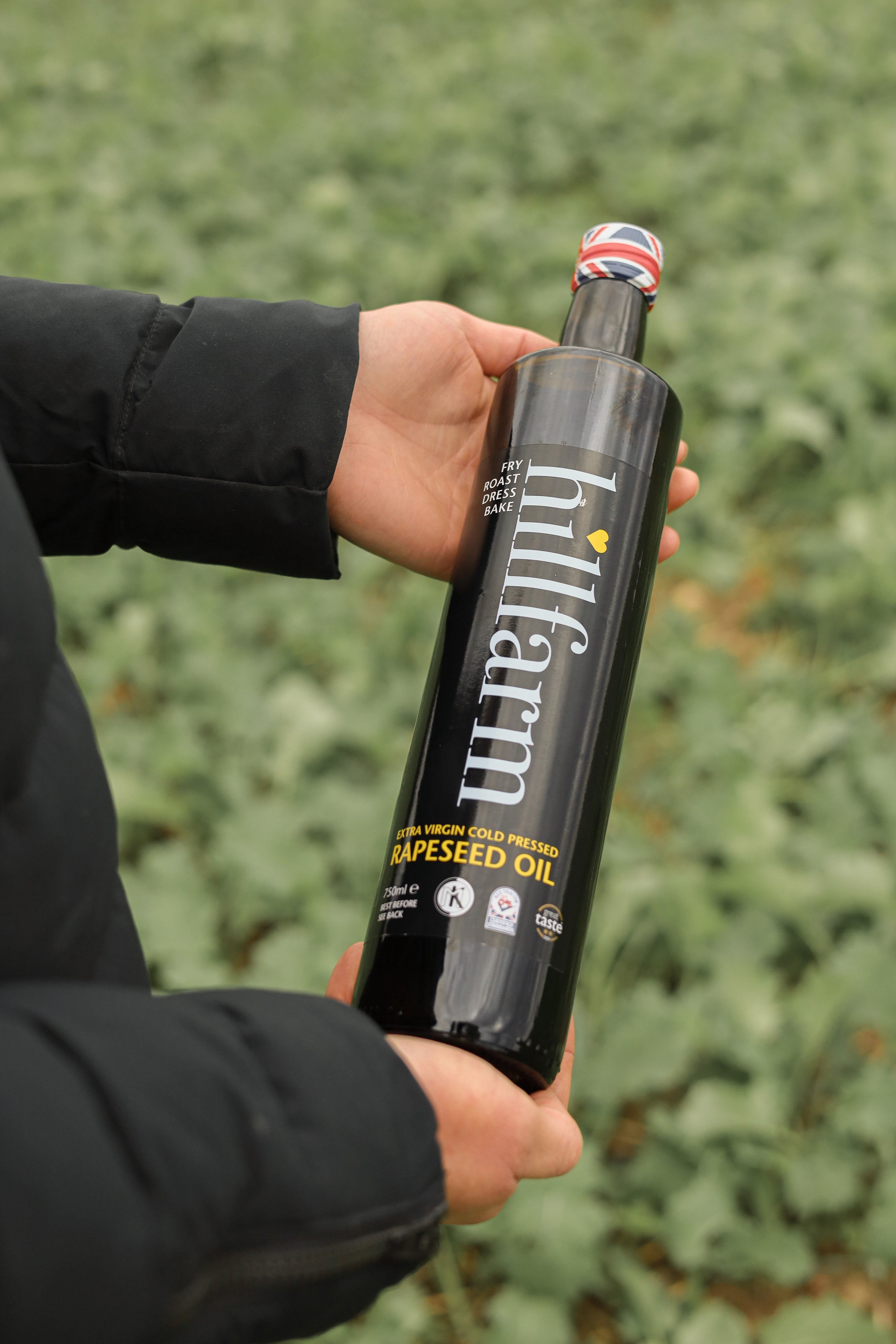 A Fresh Focus: Revolutionising Rapeseed Oil